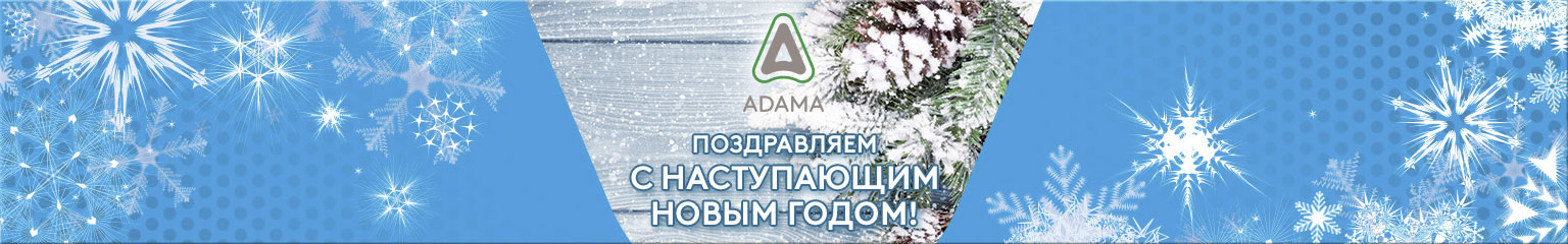 ADAMA - С Новым Годом