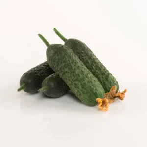 Огурец АБСОЛЮТ