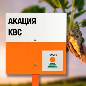 Свекла сахарная АКАЦИЯ КВС