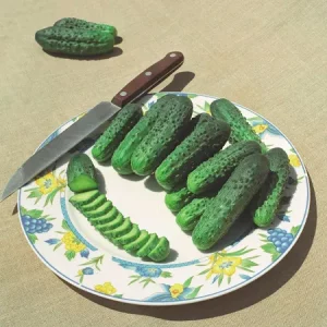 Огурец АЛЬЯНС