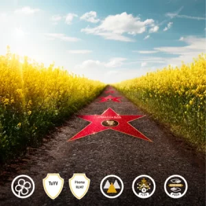 АМБАССАДОР