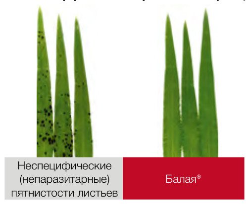 Балая®