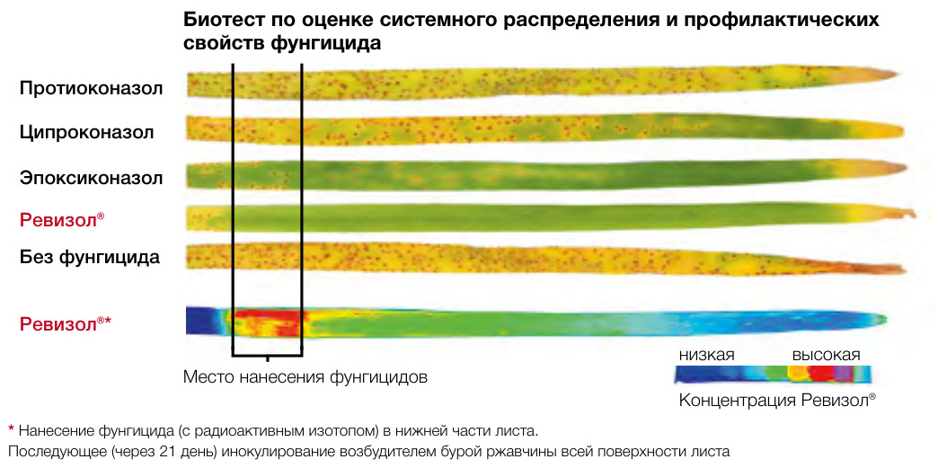 Балая®