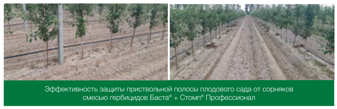 Баста® (Гербицид)