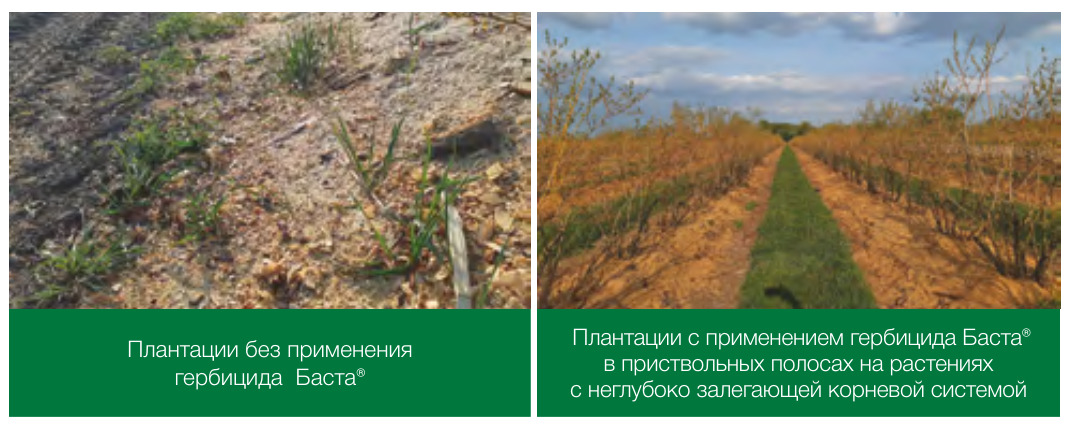 Баста® (Гербицид)