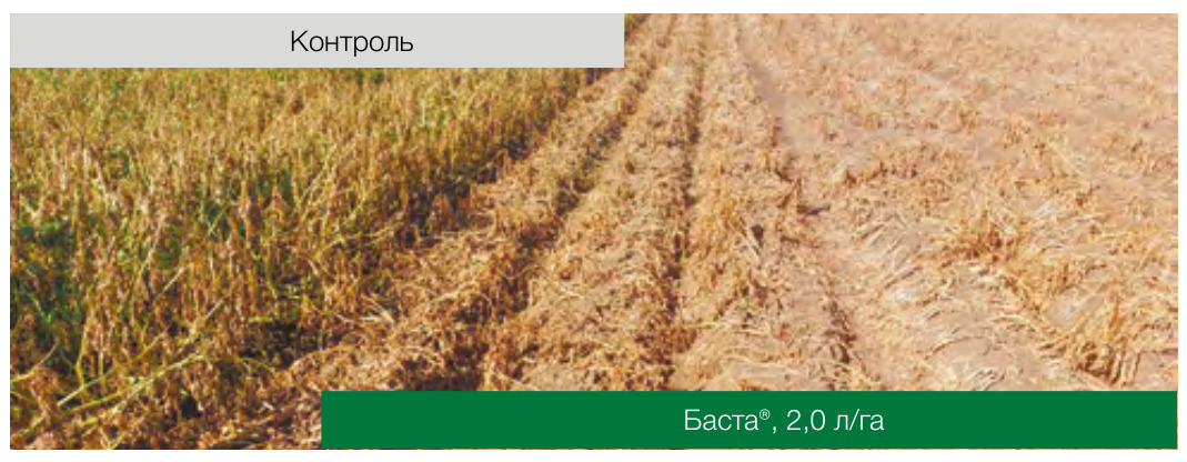 Баста® (Десикант)