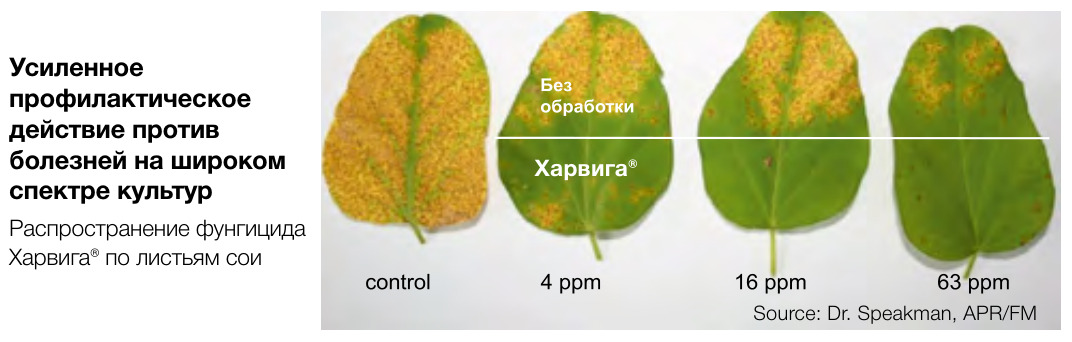 Харвига®