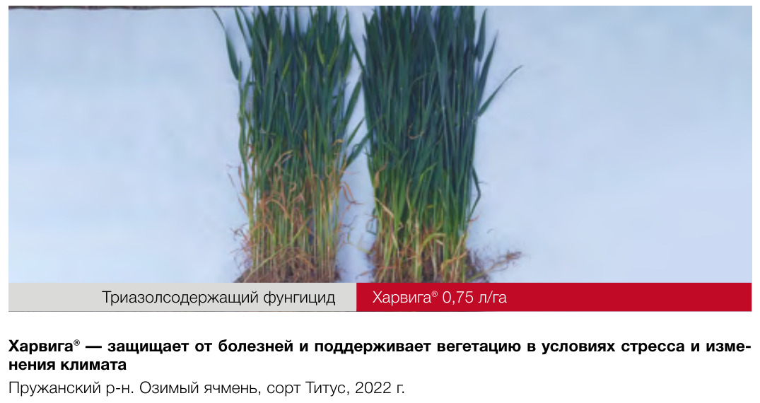 Харвига®