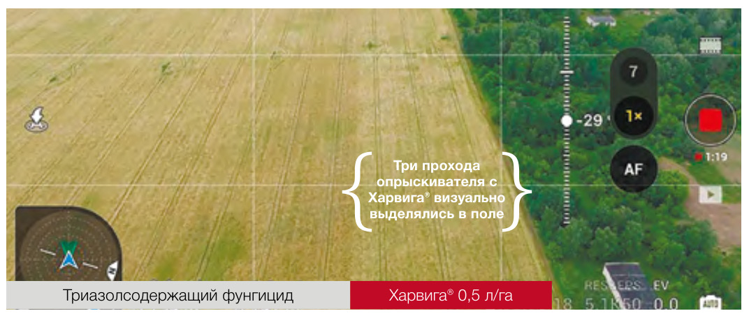 Харвига®