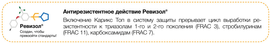 Карикс Топ