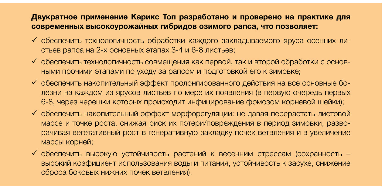 Карикс Топ
