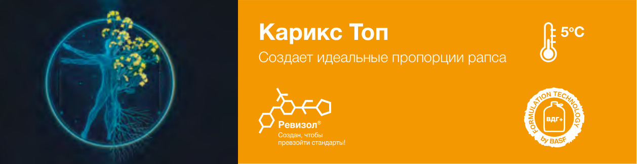 Карикс Топ