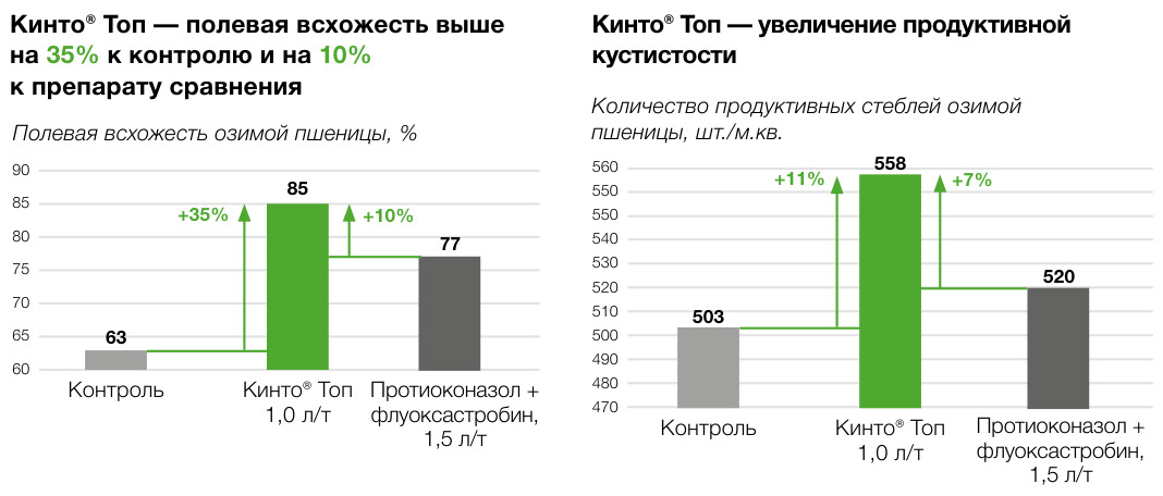 Кинто® Топ