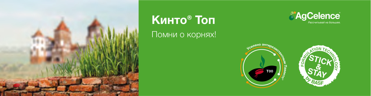 Кинто® Топ