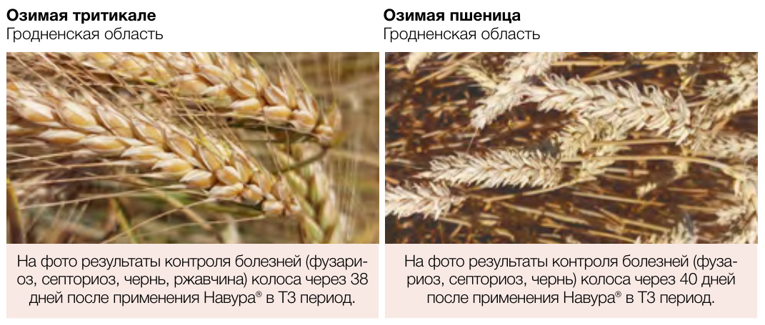 Навура®