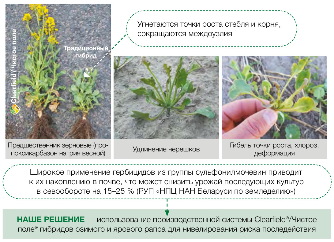 Нопасаран® Флекс
