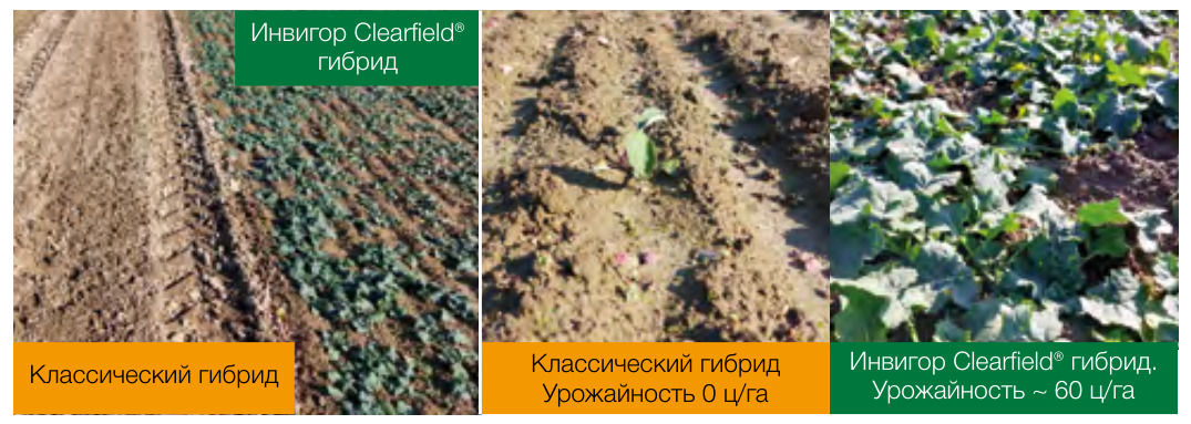 Нопасаран® Флекс