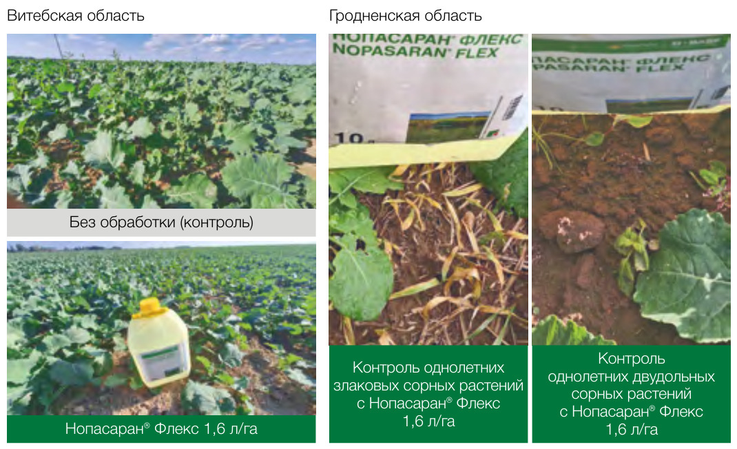 Нопасаран® Флекс