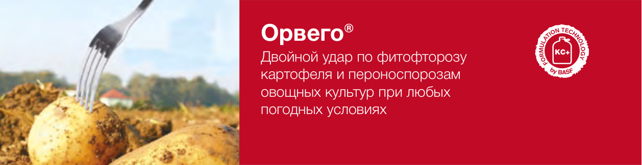 Орвего®