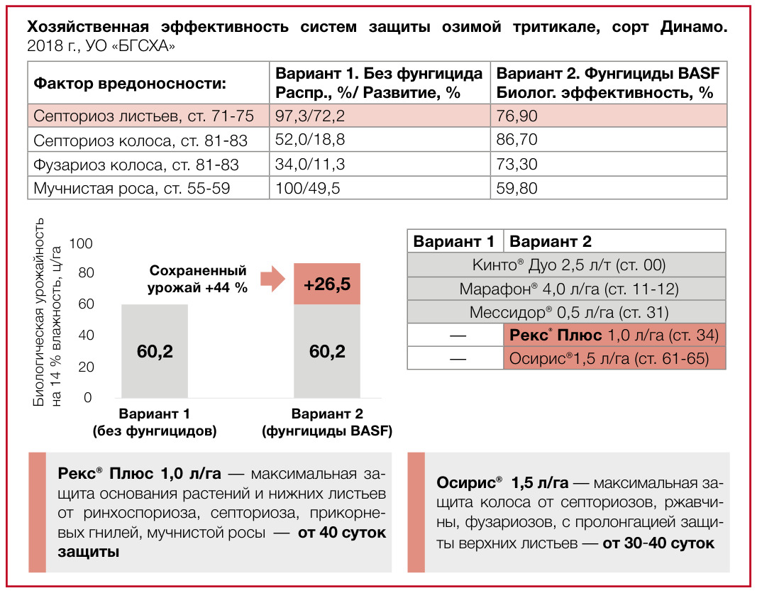 Рекс® Плюс