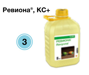 Ревиона, КС+