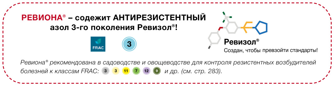Ревиона — содержит антирезистентный азол 3-го поколения Ревизол