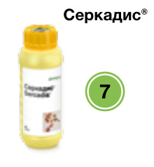 Серкадис