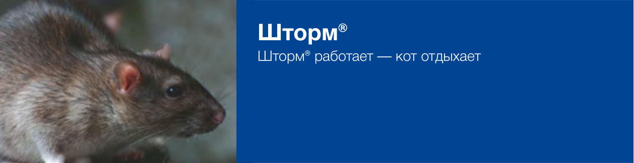 Шторм®