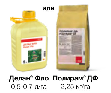 Строби®
