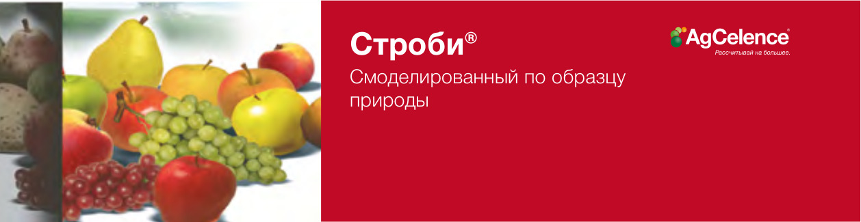 Строби®