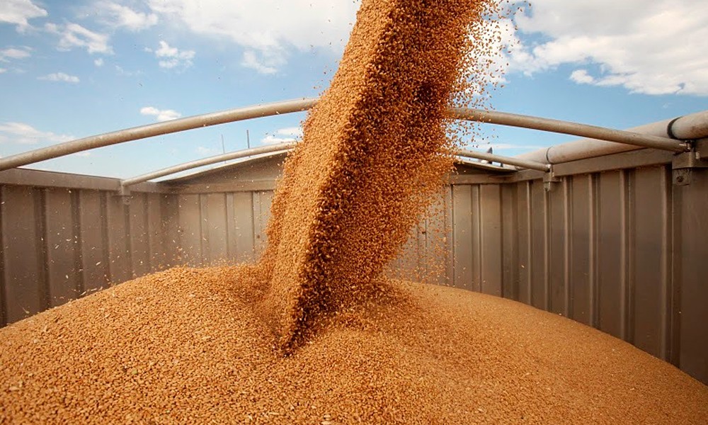 Беларусь рассчитывает собрать в этом году не менее 9 млн т зерна