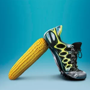 Кукуруза КАТАРЗИС