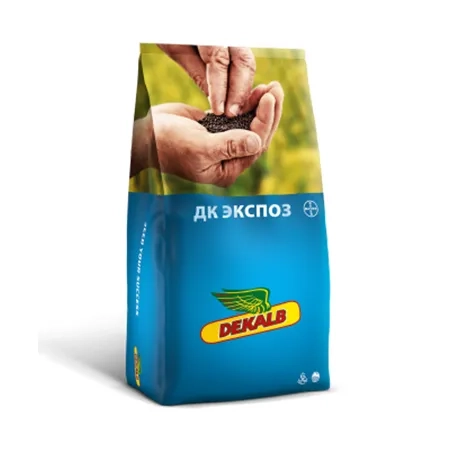 Рапс озимый ДК ЭКСПОЗ