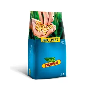 Кукуруза ДКС 3527