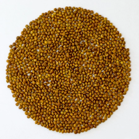 Зерно проса ДОЖ®