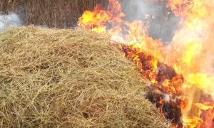 Более 50 тонн соломы сгорело в Бешенковичском районе