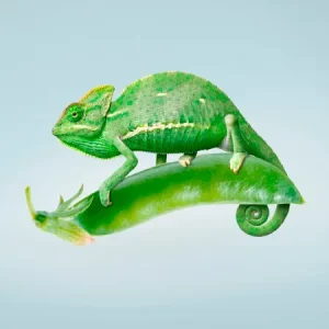 Горох посевной ХАМЕЛЕОН