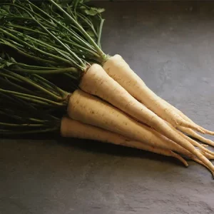 Петрушка ИГЛ