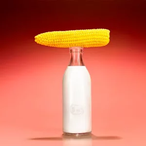 Кукуруза КАПРИЛИАС