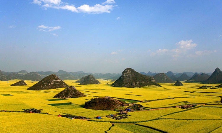 Китай готовится к сезону апрельских продаж агрохимических продуктов