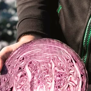 Капуста краснокочанная КЛИМАРО