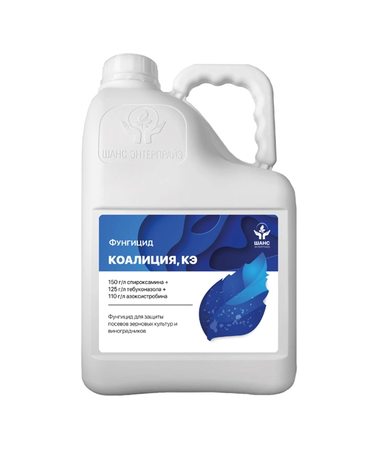 Канистра Коалиция, КЭ