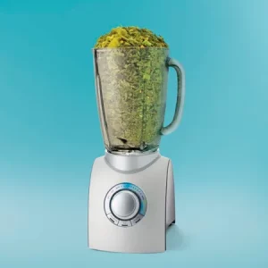 Кукуруза КВАЛИТО