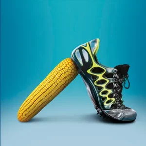 Кукуруза КВС ЛИОНЕЛЬ