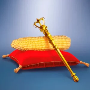 Кукуруза КВС ЭМПОРИО