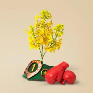 Рапс озимый КВС ГРАНОС