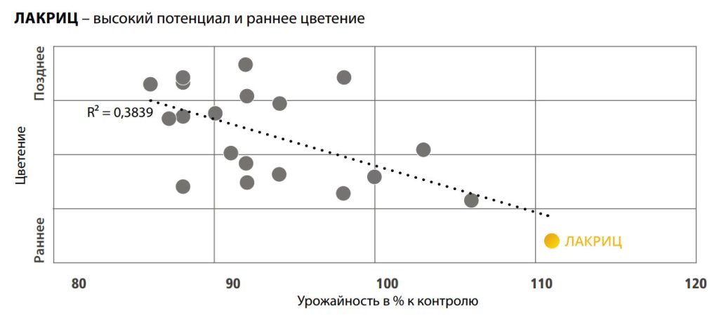 Лакриц - таблица цветения