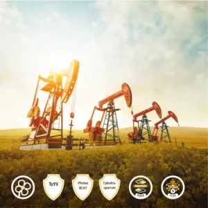 ЛГ АНТИГУА