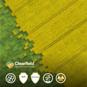 Рапс озимый ЛГ КОНСТРУКТОР КЛ