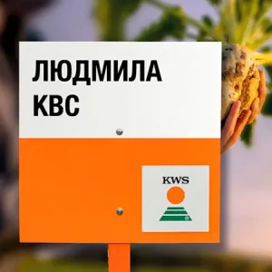 Свекла сахарная ЛЮДМИЛА КВС